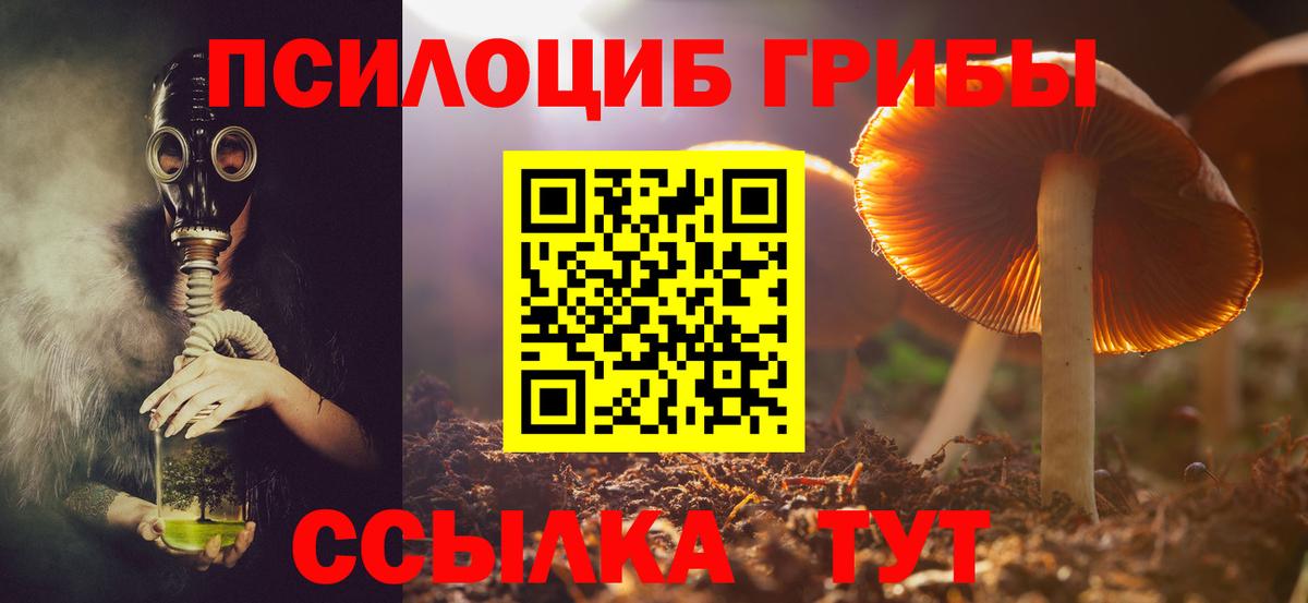 Галлюциногенные грибы Psilocybe Заречный